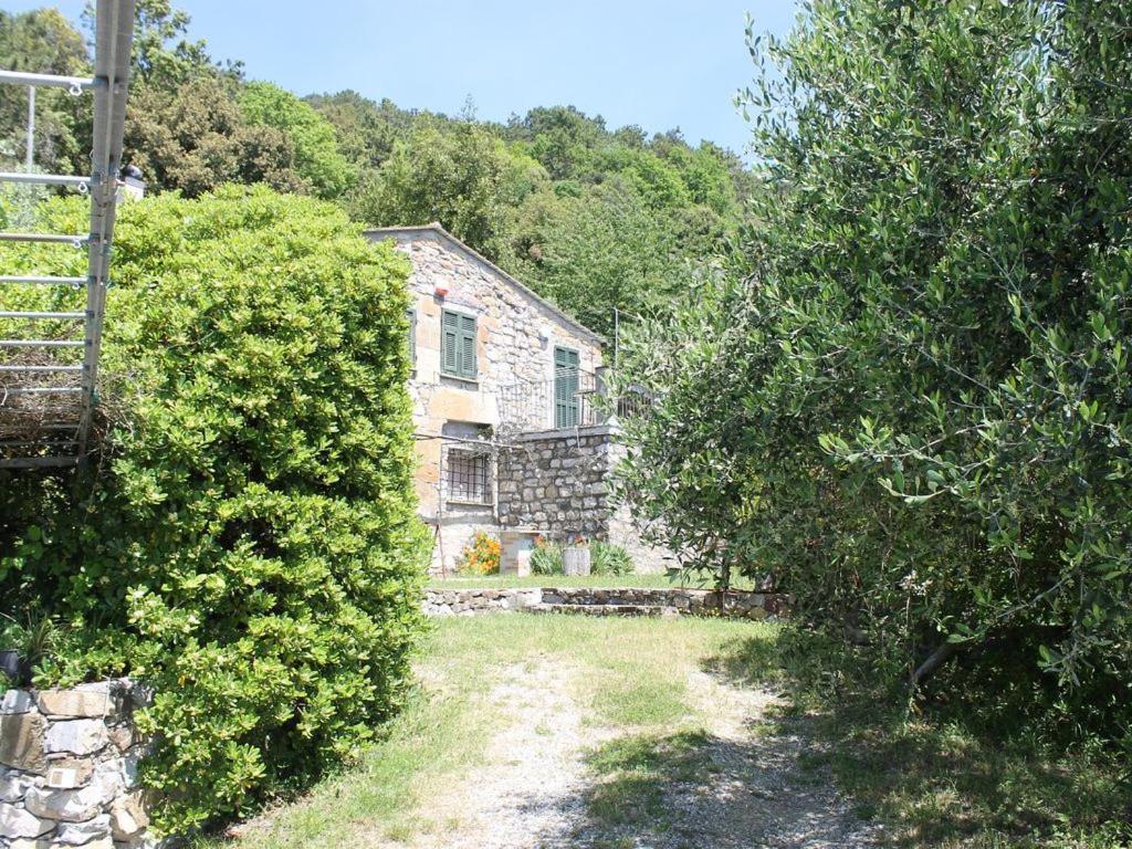 Cottage La Casa Del Pittore Reggimonti Exterior photo